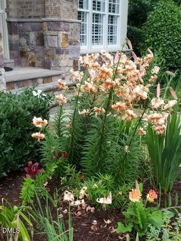 8409 Passage Marseille Court, Raleigh, NC 27615