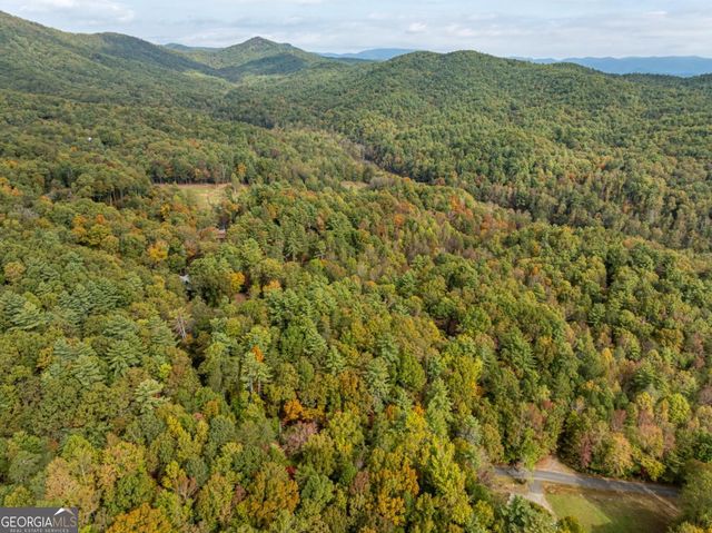 LOT 1 Chief Whitetails Road, Ellijay, GA 30540