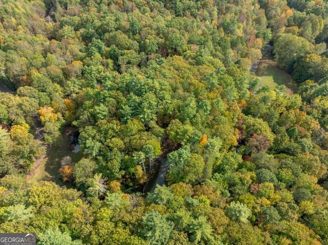 LOT 1 Chief Whitetails Road, Ellijay, GA 30540