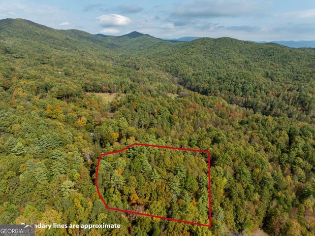 LOT 1 Chief Whitetails Road, Ellijay, GA 30540