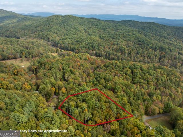 LOT 1 Chief Whitetails Road, Ellijay, GA 30540