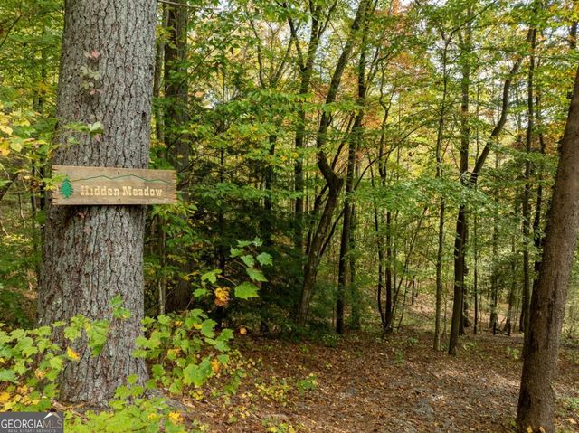 LOT 1 Chief Whitetails Road, Ellijay, GA 30540