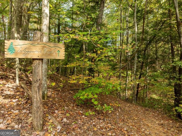 LOT 1 Chief Whitetails Road, Ellijay, GA 30540