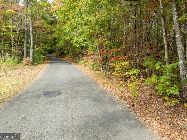 LOT 1 Chief Whitetails Road, Ellijay, GA 30540