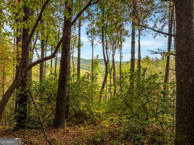 LOT 1 Chief Whitetails Road, Ellijay, GA 30540