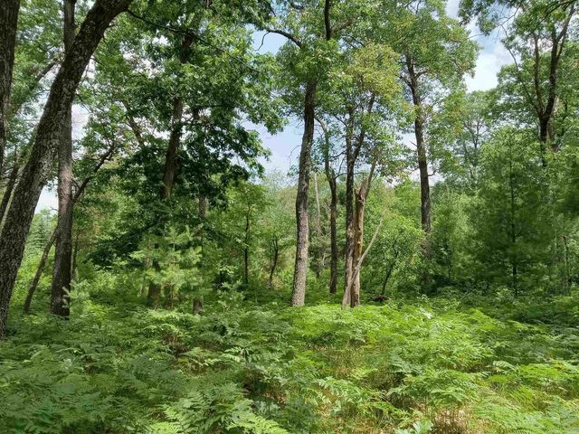 1186 Arrowhead Trail, Nekoosa, WI 54457