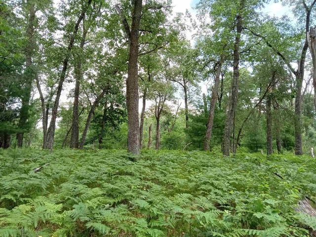 1186 Arrowhead Trail, Nekoosa, WI 54457