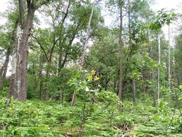 1186 Arrowhead Trail, Nekoosa, WI 54457