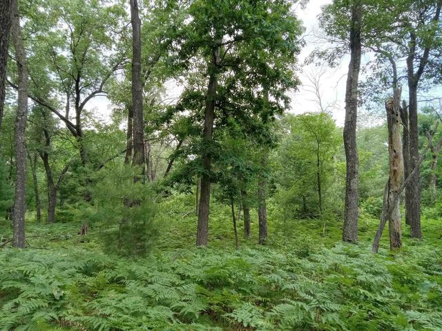 1186 Arrowhead Trail, Nekoosa, WI 54457