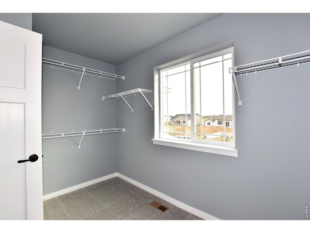 1173 Crown Sparrow St, Johnstown, CO 80534