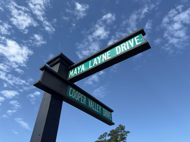 928 Maya Layne Dr., Little River, SC 29566