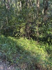 TBD NW 7TH STREET, Ocala, FL 34482