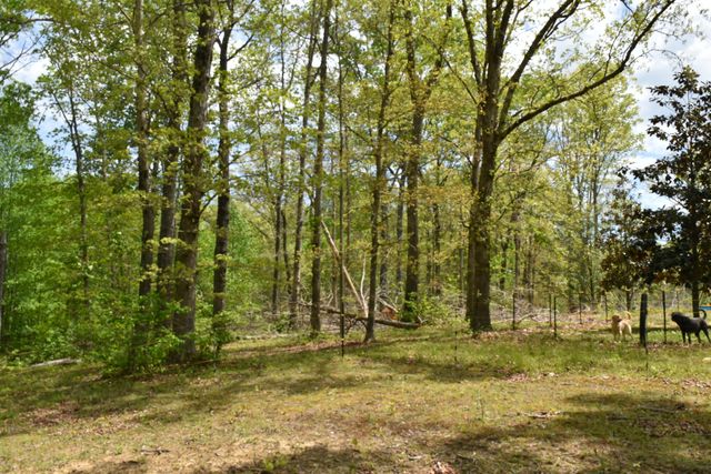 192 Morris Drive, Tracy City, TN 37387