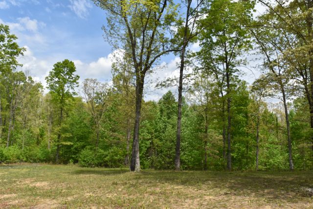 192 Morris Drive, Tracy City, TN 37387