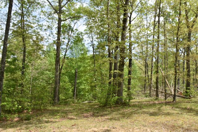 192 Morris Drive, Tracy City, TN 37387
