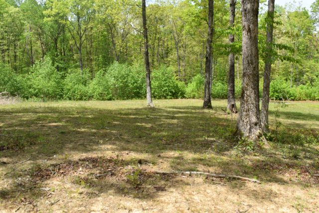 192 Morris Drive, Tracy City, TN 37387