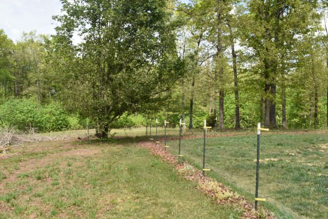 192 Morris Drive, Tracy City, TN 37387