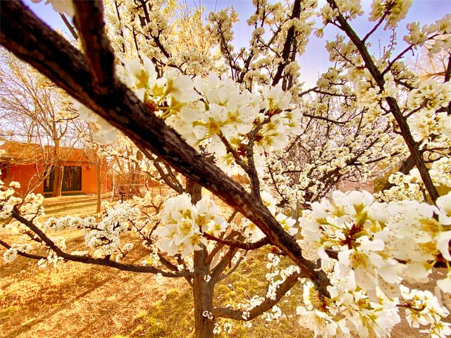 2007 Indian School Road NW, Albuquerque, NM 87104