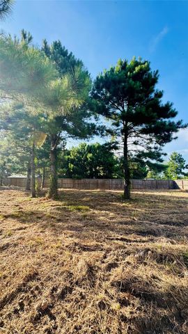 82 Road 5248, Cleveland, TX 77327
