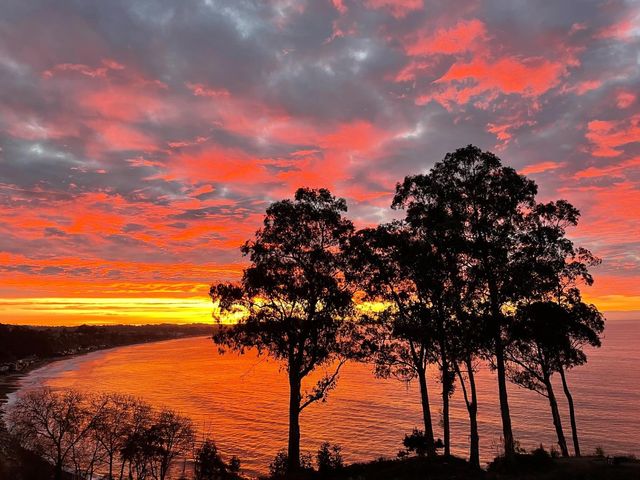 850 Park Avenue 5C, Capitola, CA 95010