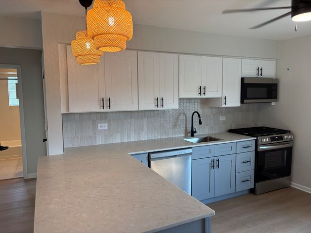143 Ann Street 2S, Clarendon Hills, IL 60514