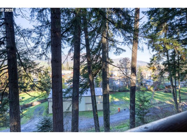 173 PARK St, Glide, OR 97443