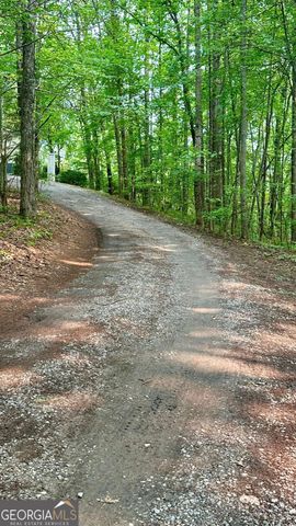 125 Barnes Chapel Road, Blue Ridge, GA 30513