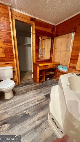 125 Barnes Chapel Road, Blue Ridge, GA 30513