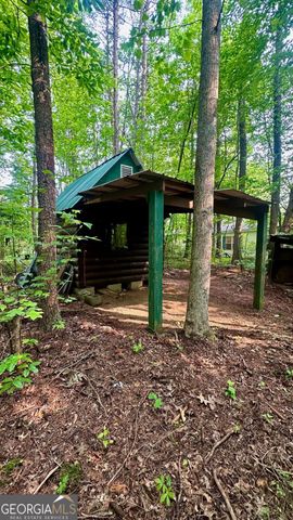125 Barnes Chapel Road, Blue Ridge, GA 30513