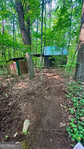 125 Barnes Chapel Road, Blue Ridge, GA 30513