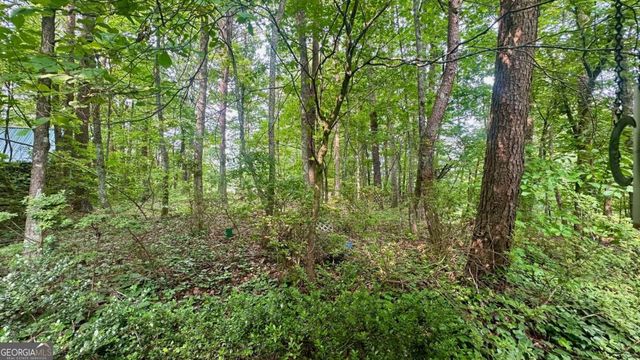 125 Barnes Chapel Road, Blue Ridge, GA 30513