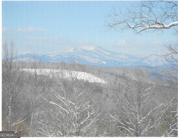125 Barnes Chapel Road, Blue Ridge, GA 30513