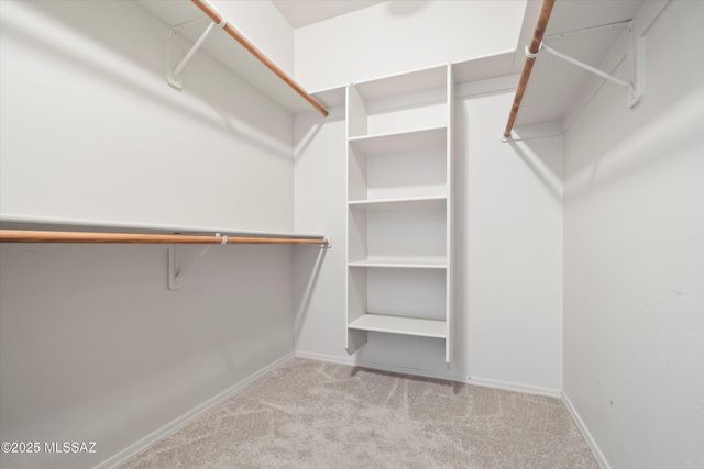 10402 S Cutting Horse Drive, Vail, AZ 85641