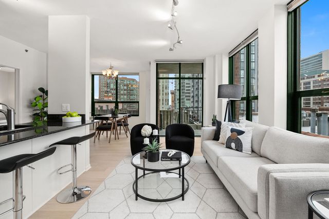 400 W Ontario Street 801, Chicago, IL 60654