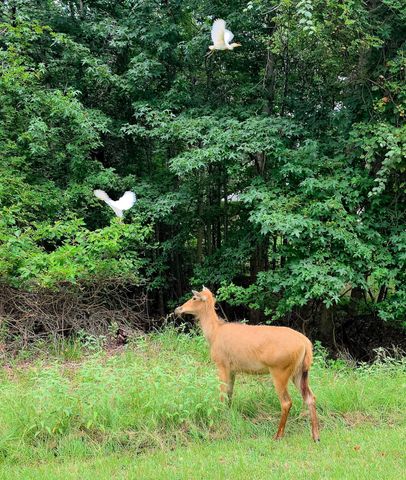 Lot 401 Mallard Way, Larue, TX 75770