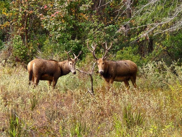 Lot 401 Mallard Way, Larue, TX 75770