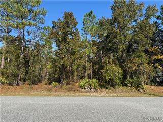 157 Daisy Street, Homosassa, FL 34446