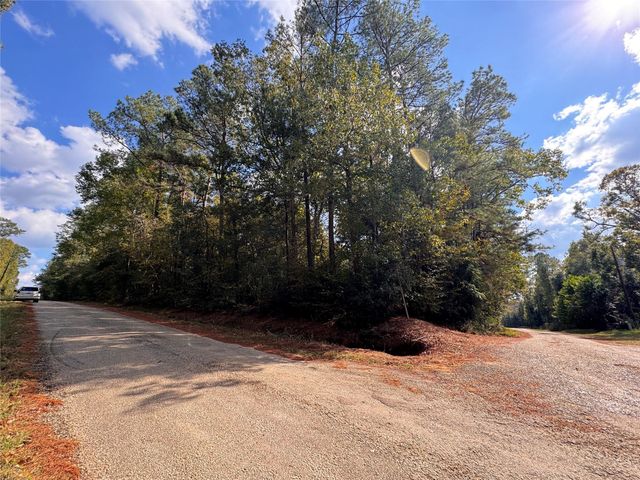 TBD Love Drive, Cleveland, TX 77327