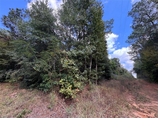 TBD Love Drive, Cleveland, TX 77327