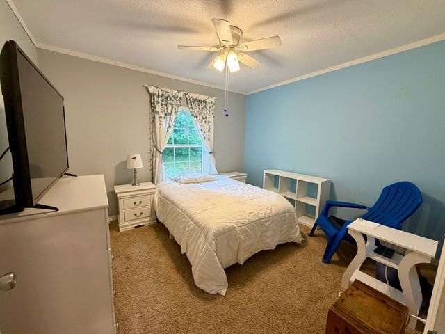135 Spring Rd, Morrison, TN 37357