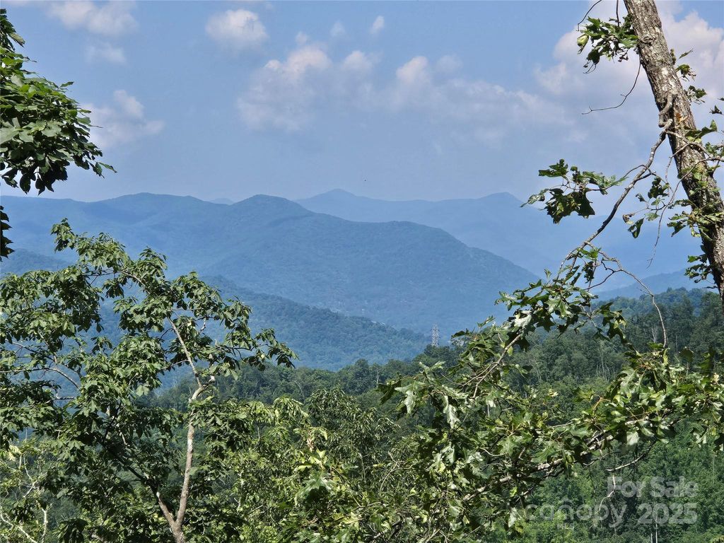 0 Buffalo Ridge, Canton, NC 28716