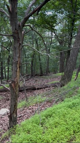 660 Route 9W, Valley Cottage, NY 10989