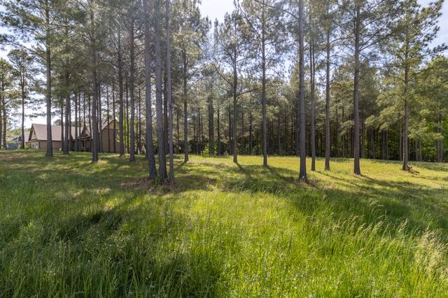 1600 Raulston Falls Road Lot Sv320, Jasper, TN 37347