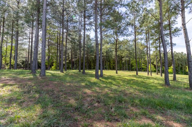 1600 Raulston Falls Road Lot Sv320, Jasper, TN 37347