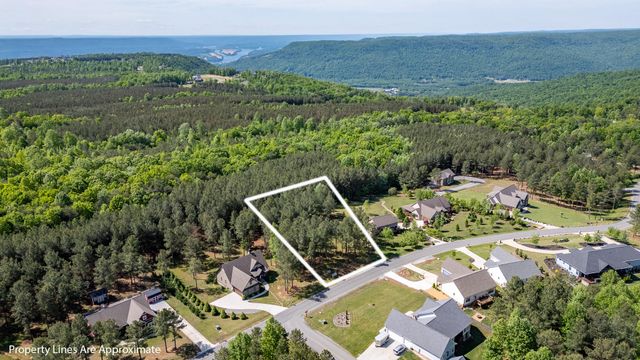 1600 Raulston Falls Road Lot Sv320, Jasper, TN 37347