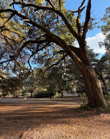 1217 Wichman Street, Walterboro, SC 29488