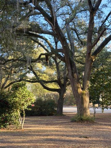 1217 Wichman Street, Walterboro, SC 29488