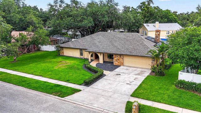 11004 THERESA ARBOR DRIVE, Temple Terrace, FL 33617