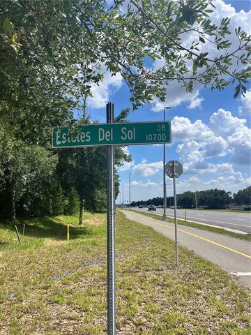 10907 ESTATES DEL SOL DRIVE, Riverview, FL 33579