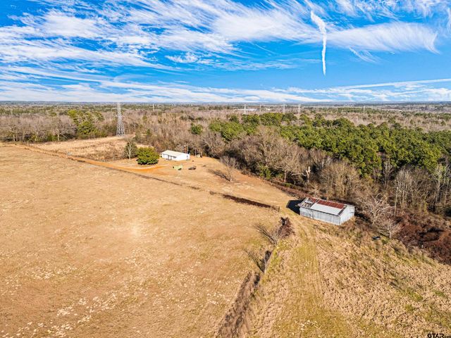 3438 CR 4119, Daingerfield, TX 75638